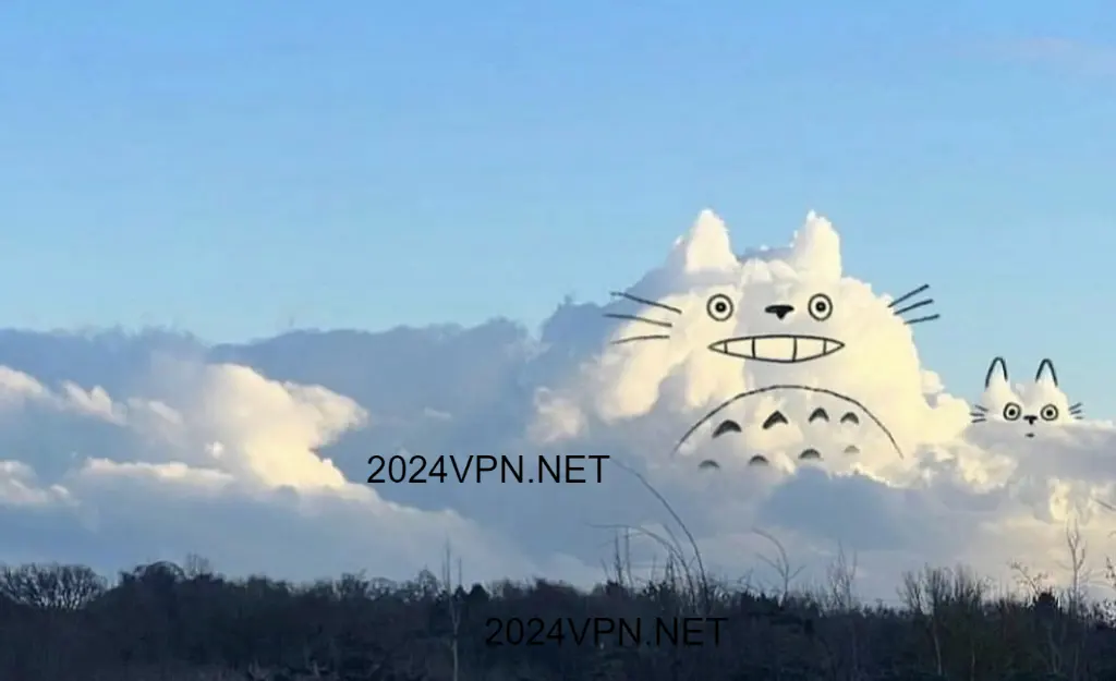 Totoro Cloud 龙猫云VPN Totoro Cloud 龙猫云VPN