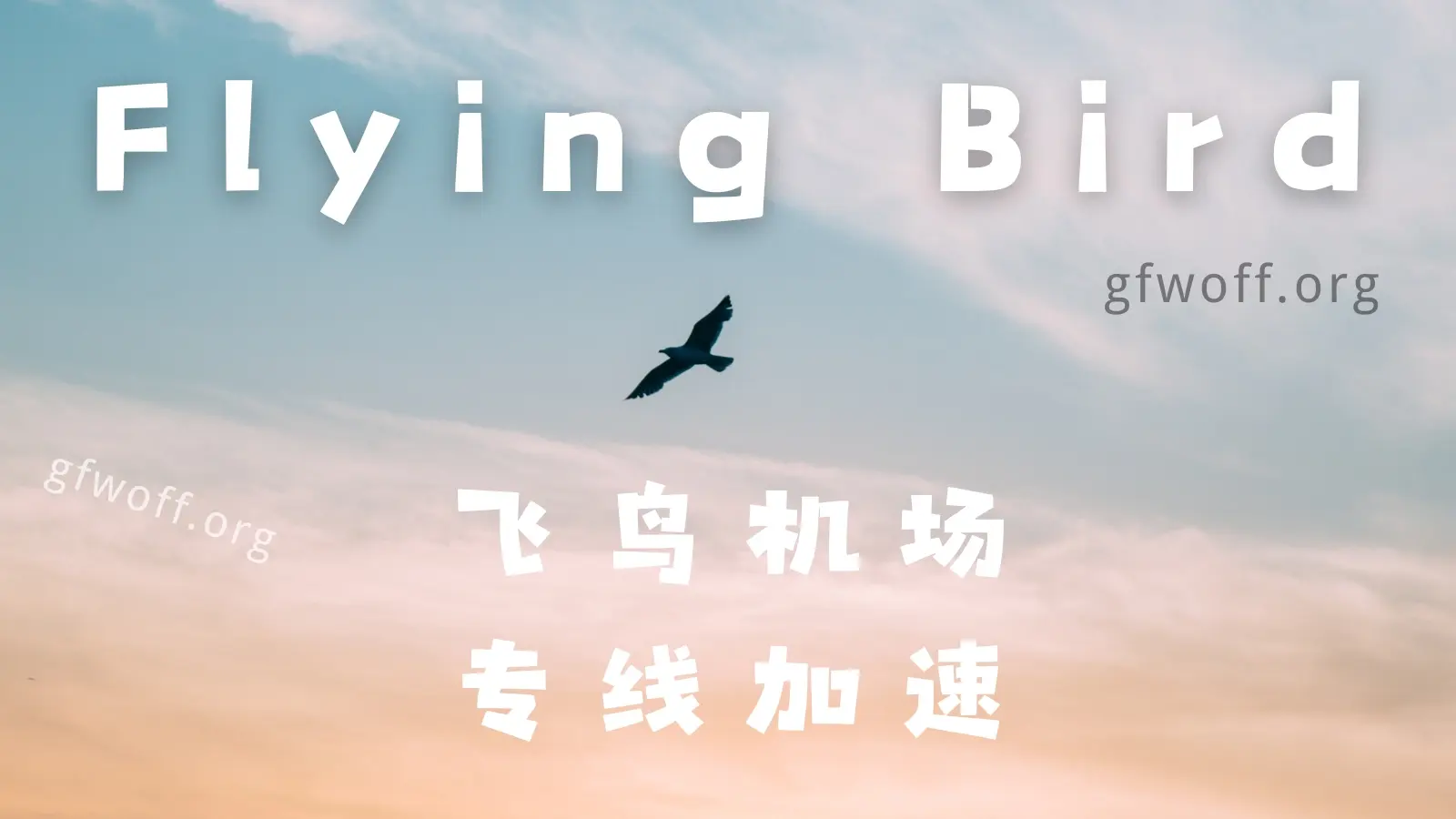 FlyingBird 飞鸟机场VPN FlyingBird 飞鸟机场VPN